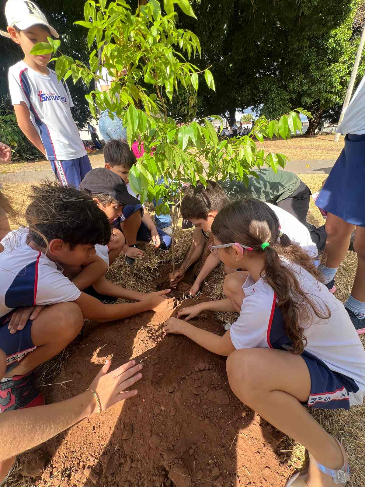 Comemoração do Dia do Meio Ambiente